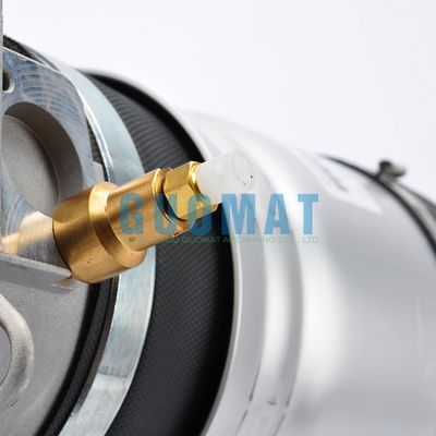 টেকসই OEM স্ট্যান্ডার্ড রিয়ার ডান বায়ু সাসপেনশন শক শোষক জন্য বেন্টলি 3W0616002