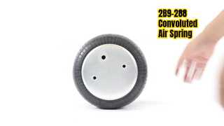 গুডইয়ার এয়ার স্প্রিং 2B9-288 সাসপেনশন আপগ্রেড