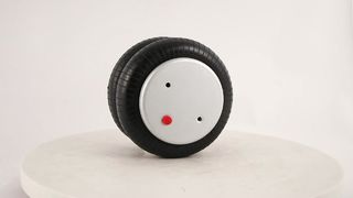 এয়ার স্প্রিং শক শোষক FD 200-19 প্রতিস্থাপন