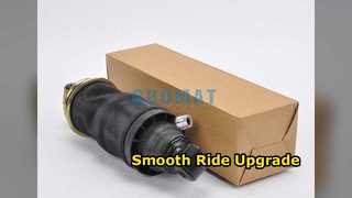 ম্যান ট্রাক রিয়ার এয়ার স্প্রিং 81417226049