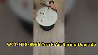 ট্রাক এয়ার স্প্রিং রিপ্লেসমেন্ট ফায়ারস্টোন W01-M58-8966